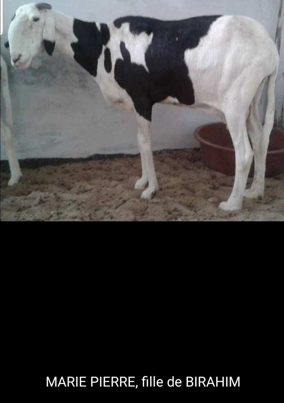 Marie Pierre fille de Birahim
