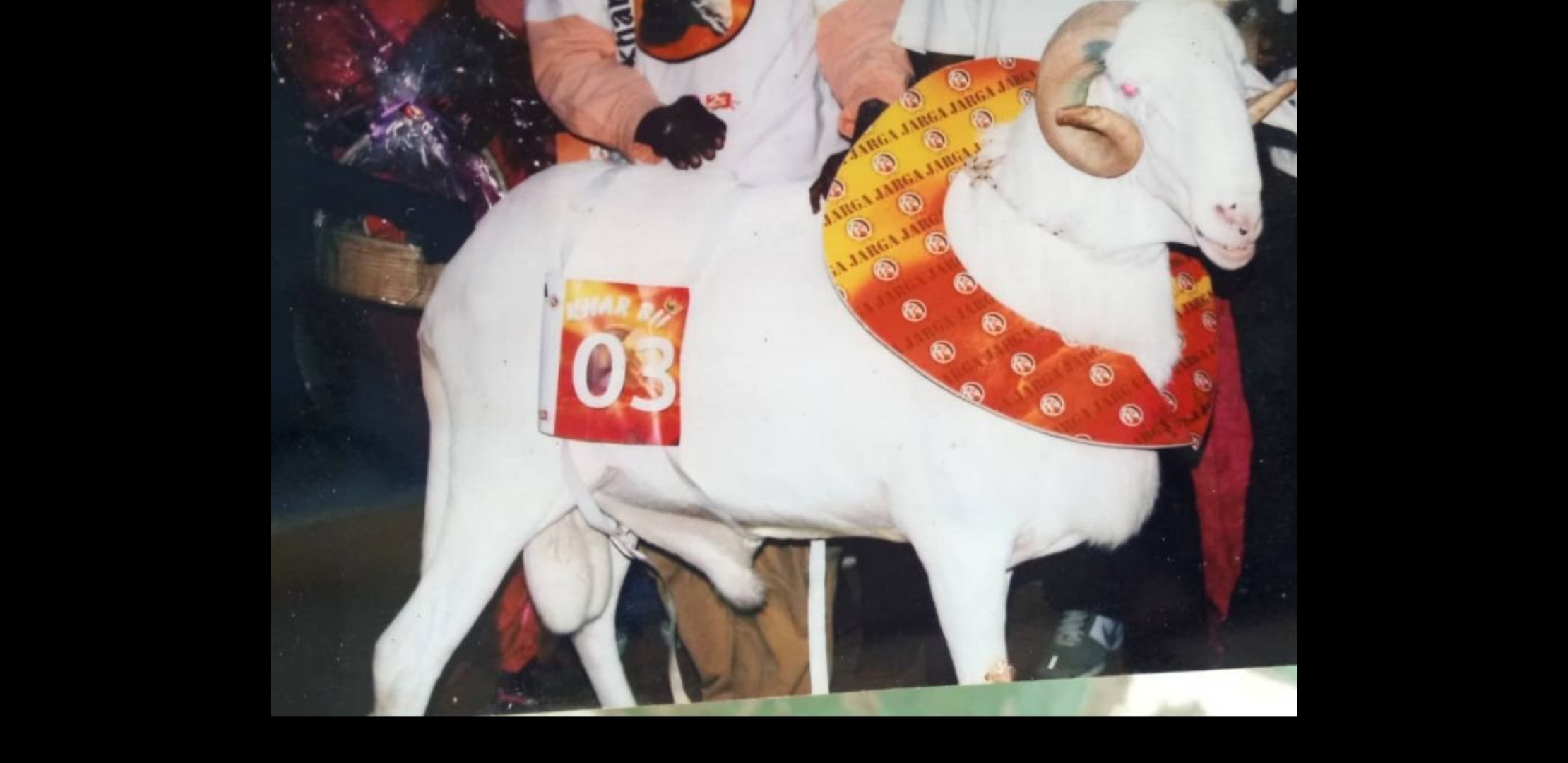 Mandéla fils de Chimère 