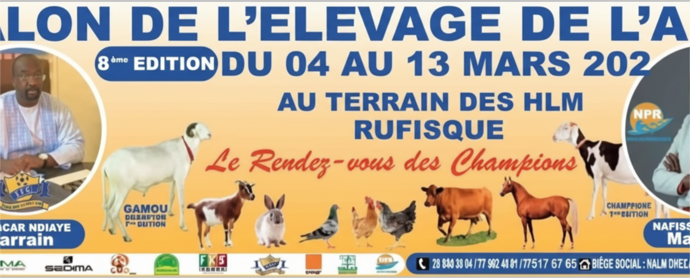 Sénégal : Foire Saladel