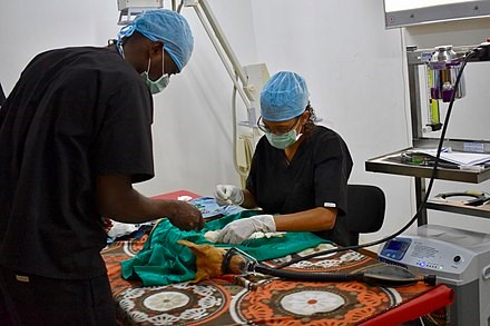 Vétérinaire : Sénégal -Conditions générales d’exercice de la profession vétérinaire.