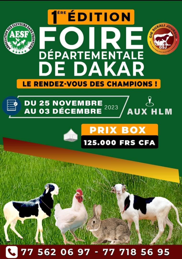 Foire départementale de Dakar